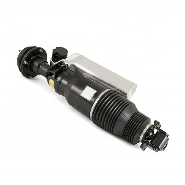Profi MAYBACH 57 UND 62 HYDROLISCHER STROSSABSORBER FRONT-L OEN Nr. 2403201913 Grenzlast 8 für Ihren Vertrieb